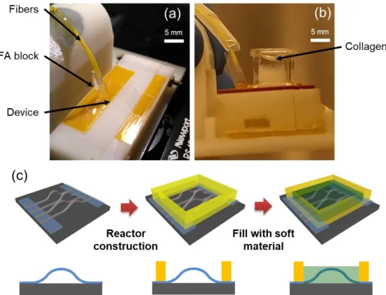 Figure 4: (a) Buckled device with bonded 16-channel fiber array. On the left, a stress-relieving  structure  is  used  to  increase  the  robustness  of  the  packaged  device