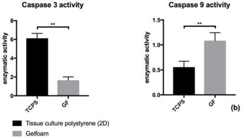 Figure 2. Alteration of enzymatic activity of caspase 3 through culture of ECs in a 3-dimensional  gelfoam matrix (GF) compared to culture of ECs on conventional uncoated 2D-tissue culture  plates (TCPS)