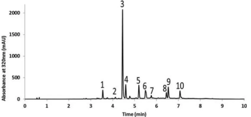 Figure 1. HPLC chromatograms of soluble phenolics from the C. maritimum extract. The profile was recorded at 320 nm