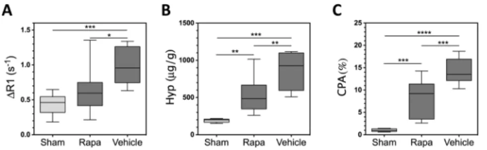 Fig. 4. Response to Rapamycin Therapy