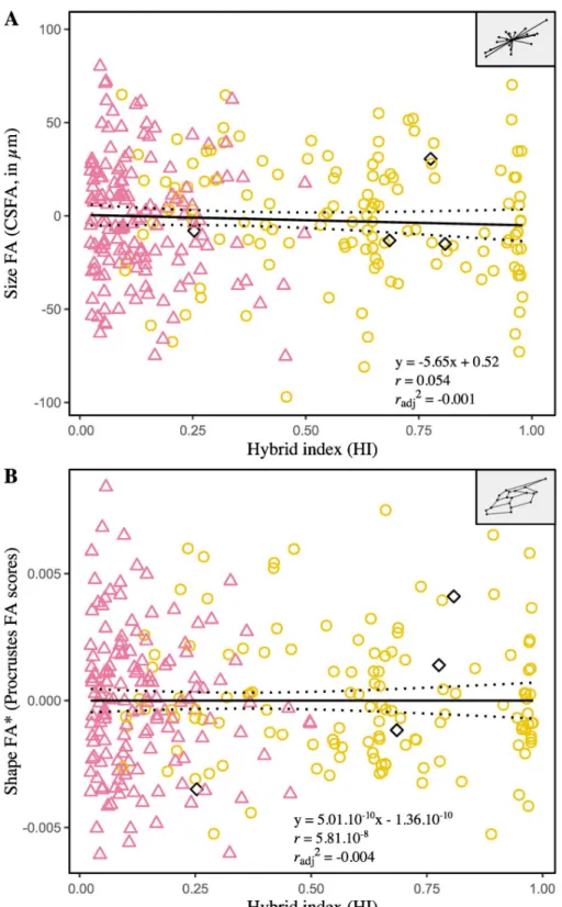 Fig 5. Relationships between fluctuating asymmetry of forewing size (A) and shape (B) and the hybrid index.