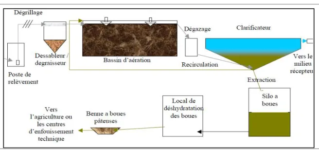 Figure  3 :  Schéma  de  principe  de  traitement  par  boue  activée (Exploitation  des  stations  d’épuration  :  Paramètres caractéristiques des boues activées., 2006)