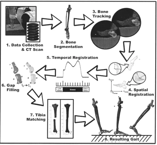 Figure  3-1:  Experimental  Protocol  - Flow  chart  outlining  the  procedure  proposed in  this  study