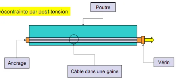 Figure 2-1-1:  Coupe longitudinale d’une poutre en béton précontraint par post  tension 