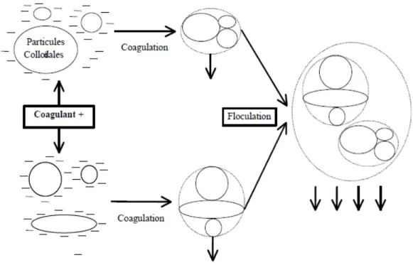 Figure I. 5. Coagulation / Floculation [3]. 