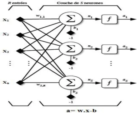 Figure II. 3. Couche de S neurones [40]. 