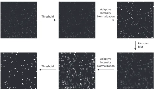 Figure 3-2: Typical preprocessing steps used on experimental data to accentuate particles and remove noise.