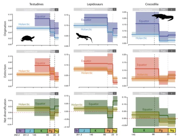 Figure 3. Global pattern of turtle, lepidosaur and crocodile diversification between Holarctic and equatorial 