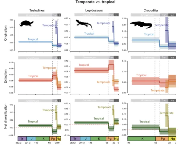 Figure 5. Results from a joint Bayesian analysis of fossil and phylogenetic data for crocodiles, lepidosaurs 