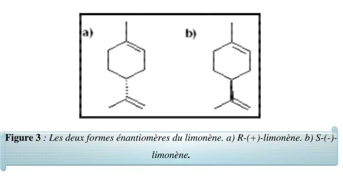 Figure 3 : Les deux formes énantiomères du limonène. a) R-(+)-limonène. b) S-(-)-                       limonène