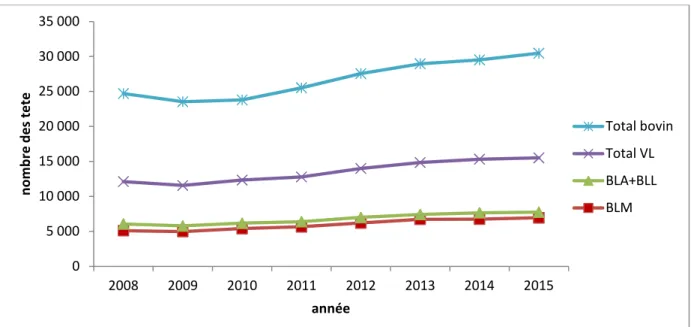 Figure 15: Evolution de l’effectif bovin dans la wilaya d’Alger. (MADRP, 2019). 