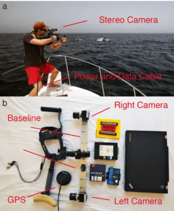 Fig. 1 Stereo camera geocoding system. a System in action collecting data on a group of long-finned pilot whales, Globicephala melas