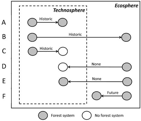 Fig. 8. Possible cases (A to F) of carbon accounting scenarios associated with the provision of forest regrowth (forest system)  and no provision of forest regrowth (no forest system)