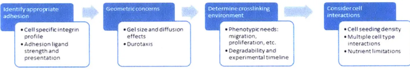 Figure  2-2.  Workflow  for determining  microenvironment  conditions  for a  given morphogenesis  assay