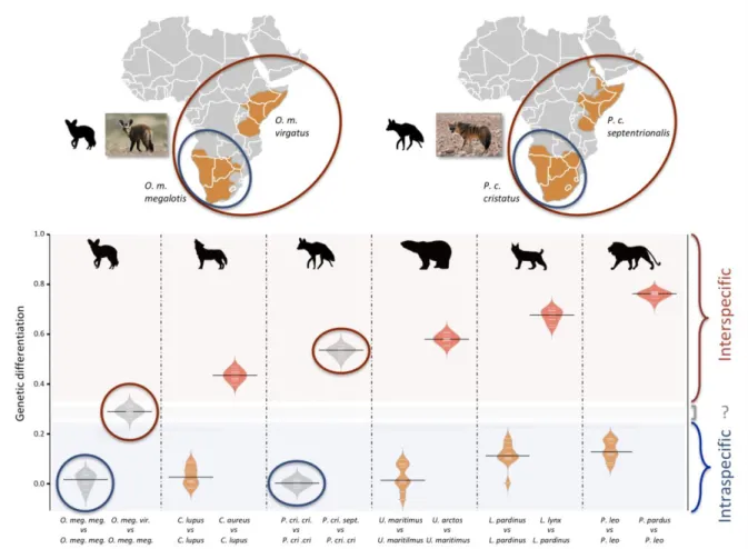 Figure 3. Genetic differentiation indices obtained from a comparison of intraspecific (orange) and interspecific 300 