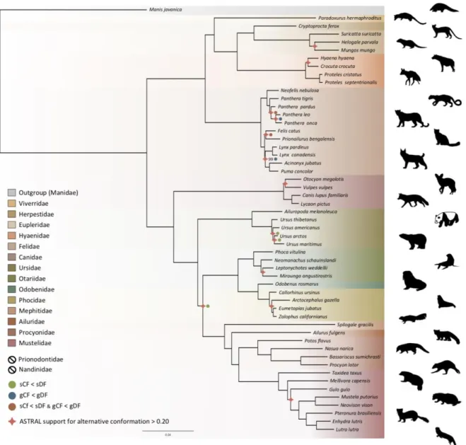 Figure  5.  Phylogenomic  tree  reconstructed  from  the  nucleotide  supermatrix  composed  of  14,307  single-copy 389 