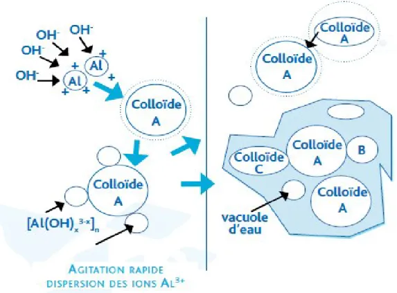 Figure 03:Principe de la coagulation  floculation II.9.1.2.La filtration