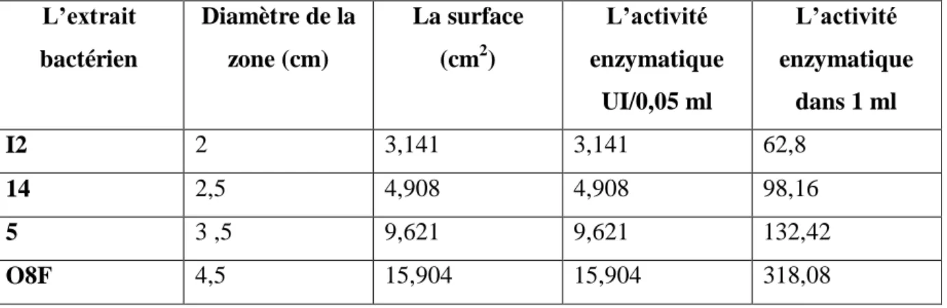 Tableau Ш : résumé des résultats des activités enzymatiques pour les différents extraits  bactériens pour l’enzyme L-glutaminase