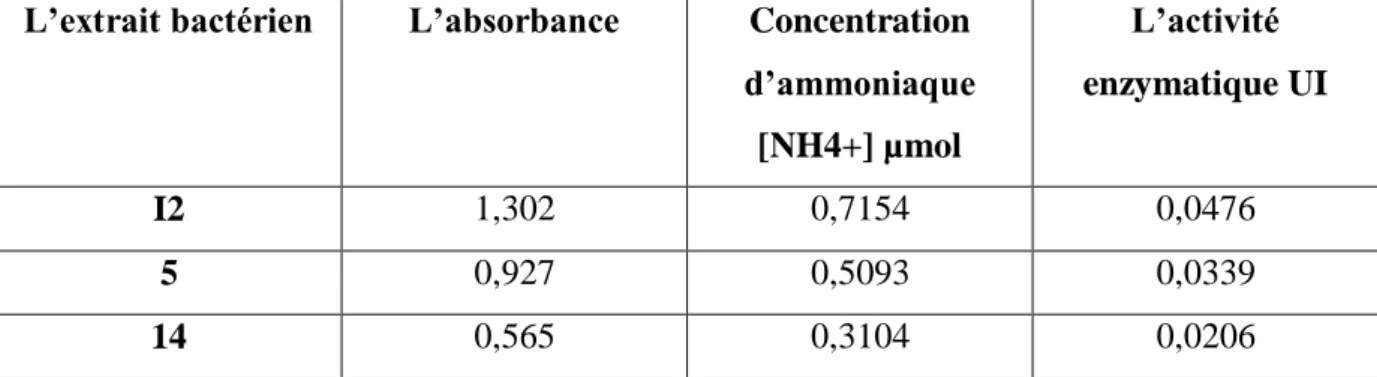 Tableau VII : Effet du pH 3 sur l’activité enzymatique de la glutaminase   L’extrait bactérien  L’absorbance  Concentration 