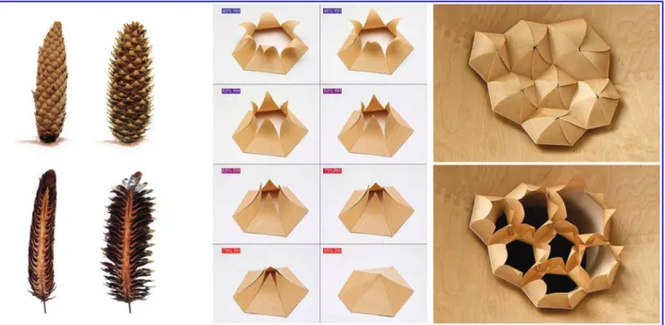 FIG. 1. Previous research at the ICD 8 investigated the transfer of the biological principle of shape change triggered by hygroscopically induced dimensional change to humidity responsive, veneer-composite elements