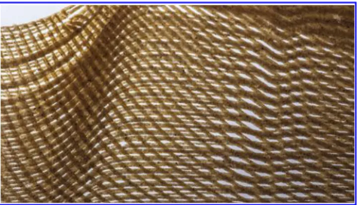 FIG. 4. A series of photographs showing a differentiated printed wood composite developed by SAL that self-transforms from a flat sheet into curved surface.