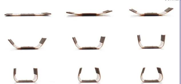 FIG. 6. Diagrams showing various wood transformations and the corresponding curvature after submersion in room- room-temperature water (20–25C)