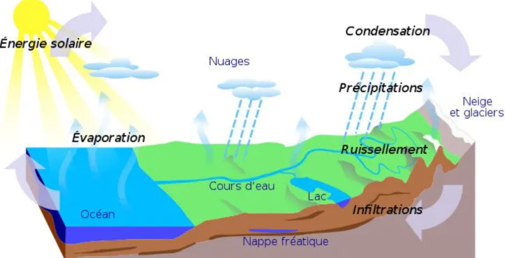 Fig. 2 : cycle générale de l’eau (CE2 MIRI, 2010). 