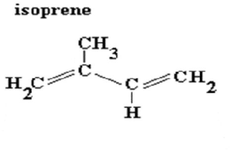 Figure n°4: Structure chimique des terpènes. 