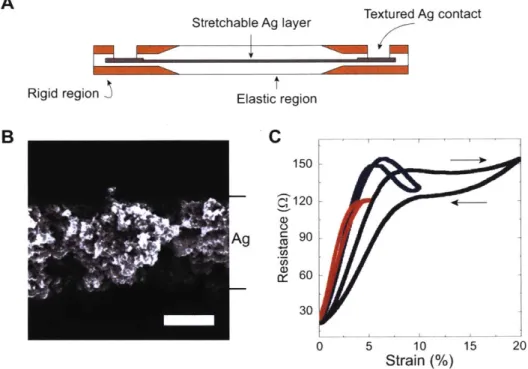 Figure  3-4:  Strain sensor  design  and performance.  A.  Cross sectional  schematic of  the  strain  sensor