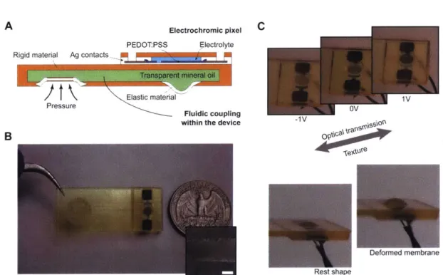 Figure 3-11:  Device  with fluidic  coupling  to  control transparency and shape.