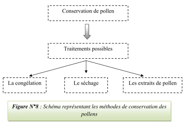 Figure N°8 : Schéma représentant les méthodes de conservation des  pollens 