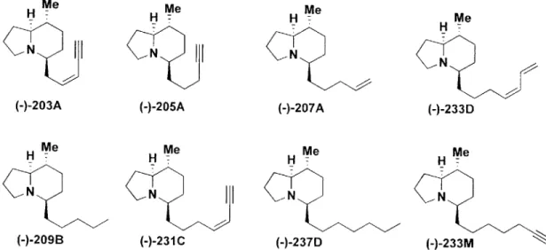 Figure  18.  8-Methyl-5-substituted  Indolizidines