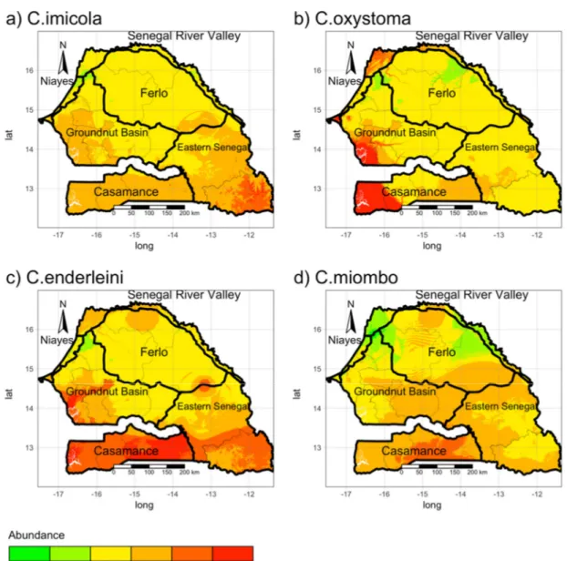 Figure 4. Maps of abundance of the four main Bluetongue virus (BTV) vector species in Senegal: (a)  C