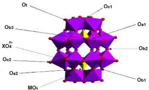 Figure I-6 : Les différents atomes d’oxygène de  la structure de Dawson. 