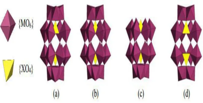 Figure I-7 : Les dérivés lacunaires de la structure de l’HPA de Dawson : (a) α 1 P 2 W 17 ,  (b) α 2 P 2 W 17 , (c) α P 2 W 15 , (d) α P 2 W 12