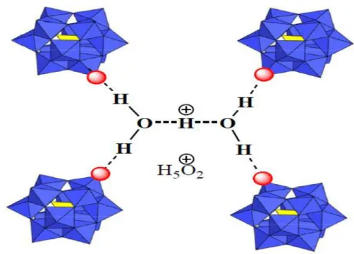 Figure I-9 : Structure secondaire de l’anion de Keggin. 