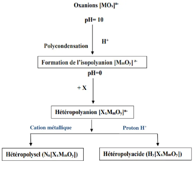Figure II-1 : Synthèse des différents hétéropolyanions. 