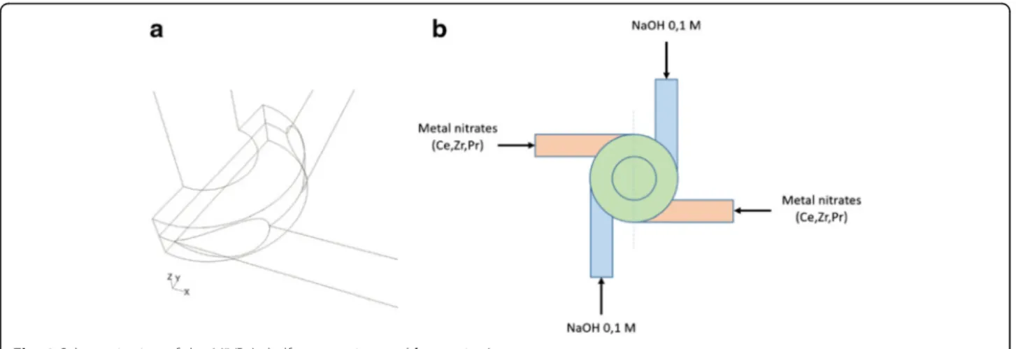 Fig. 1 Schematization of the MIVR (a half-reactor view and b top view)