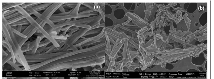 Figure 1 FESEM images of the CeO 2 nanofibers at × 100,000 (a) × 40,000 (b) level of magnifications.