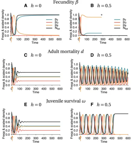 Figure 2 Deterministic dynamics of the frequencies of each allele in the population, and scaled total  popula-tion size (black curve)