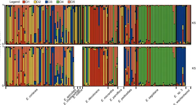 Figure 3 – STRUCTURE bar plot displaying ancestry proportions of Eschweilera individuals (vertical bars) in each of five clusters (coloured  segments in each bar)