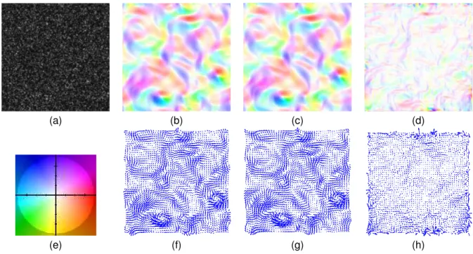 Fig. 3. Results on the DNS sequence : Top (a): an image of the sequence; (b): the estimated flow ; (c): the real flow; (d): the difference flow represented with the coding color in (i); Bottom (e): the coding color vor vector flow representation; (f-g-h) v