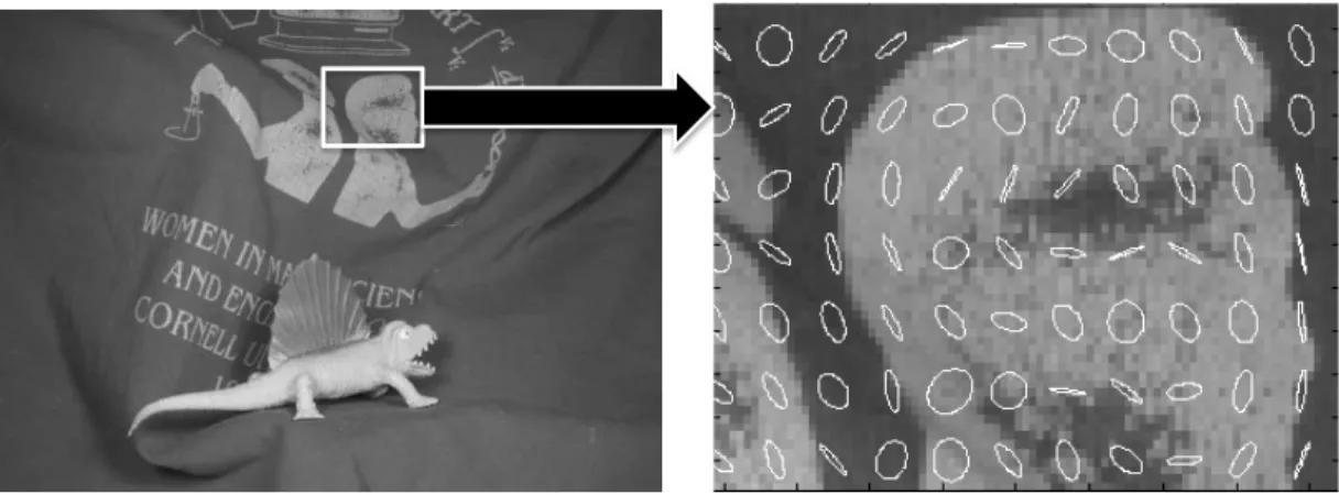 Fig. 7. Uncertainty areas for the Dimetrodon sequence: (a): a snapshot of some anisotropic uncertainty areas highlighted by the ANISO technique on which one can observe that the optical flow is computed depending on the photometric level-lines of the lumin