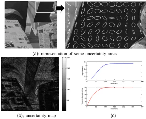 Fig. 9. Uncertainty areas for the Venus sequence: (a): a snapshot of some anisotropic uncertainty areas highlighted by the ANISO technique on which one can observe that the optical flow is computed depending on the photometric level-lines of the luminance;