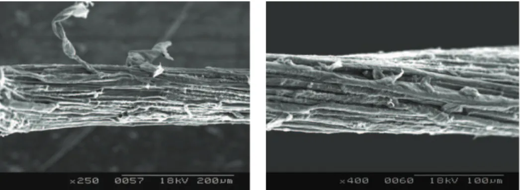 Figure 4: Fiber bundle extracted at 1 N NaOH on longitudinal view: with prehydrolysis on left and without prehydrolysis on right.