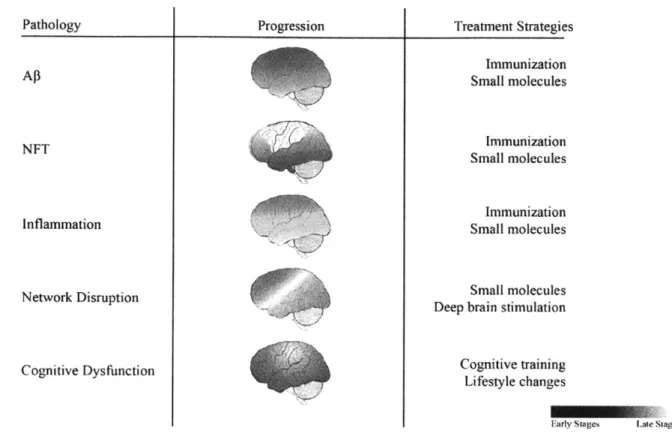 Figure 2:  Pathology  and its  molecular  therapeutic  targets.  Hallmark  pathological  features  of AD  include  AP  plaques,  NFT,  and  cognitive  impairment.1 0  Recent  studies  suggest  network disruption  and  inflammation  are  also  critical  med