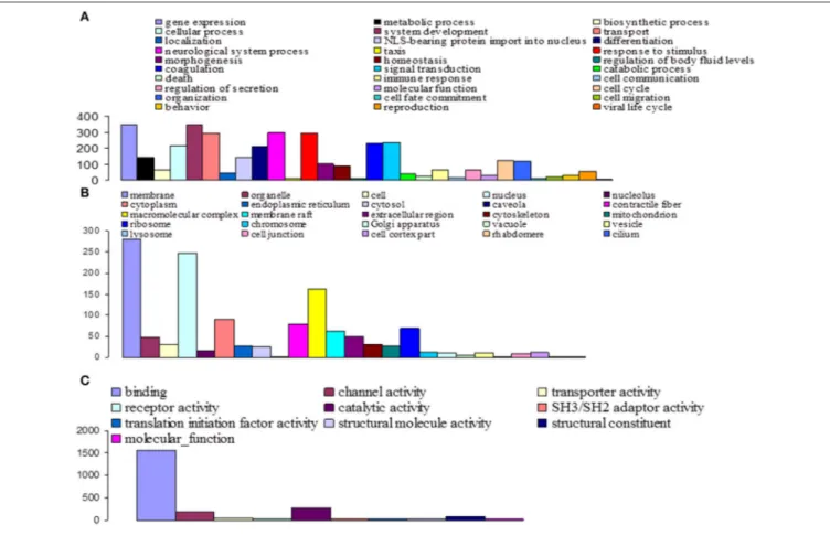 FIGURE 4 | Functional classification of G. p. gambiensis and T. b. gambiense assembled contigs based on Gene Ontology (GO) categorization