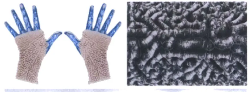 Figure 3.  Composite image of Carpal Skin, Museum  of Science, 2010-2012. Designed by  Neri Oxman in collaboration with  W