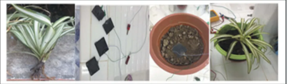 Figure 1. Experimental plan.