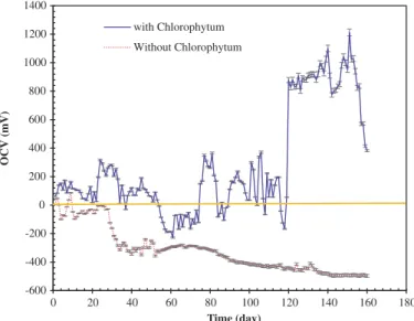 Figure 2. OCV evolution with Chlorophytum-MFC during 160 days.